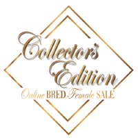 The Collector's Edition